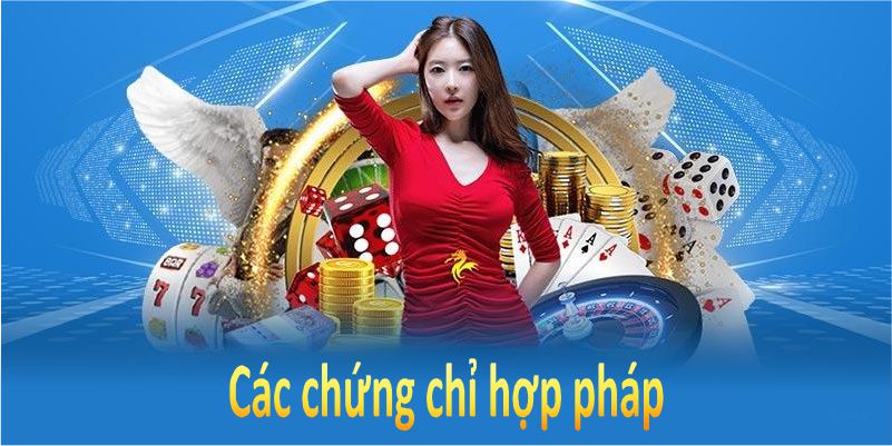 Đơn vị này có đủ các chứng chỉ hợp pháp